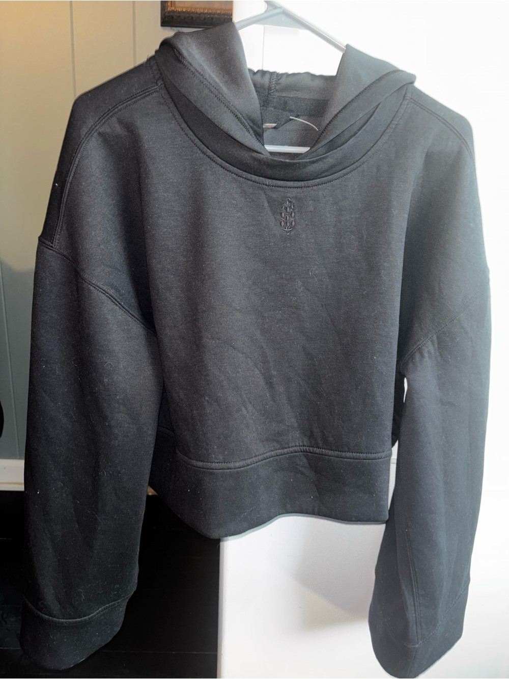 Free people cropped hoodie